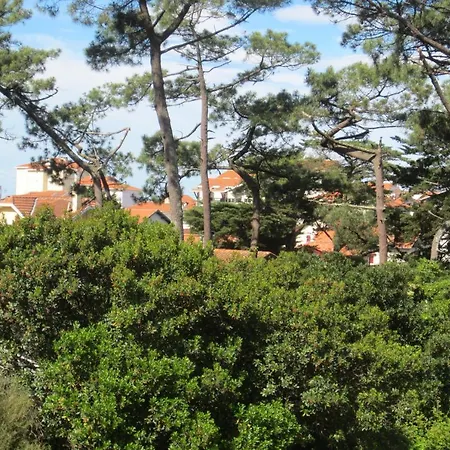 Pour 4 Personnes- L Accalmie Apartment Capbreton